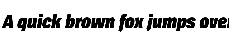 Preview of SpiegelSansCd Trial Black Italic font