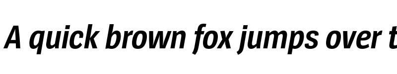 Preview of SpiegelSansCd Trial Bold Italic font