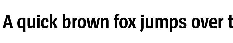 Preview of SpiegelSansCd Trial Bold font