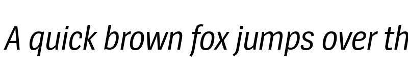 Preview of SpiegelSansCd Trial Italic font
