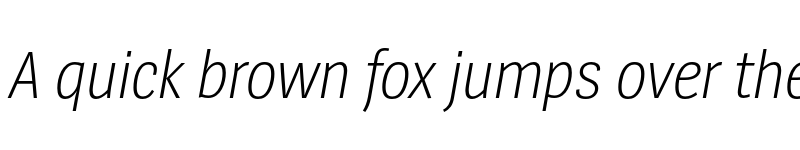 Preview of SpiegelSansCd Trial Light Italic font