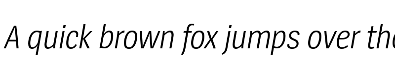 Preview of SpiegelSansCd Trial SemiLight Italic font
