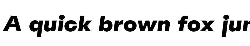 Preview of Spoof Trial Black Slanted font