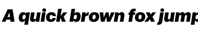 Preview of Sprint Sans Black Italic font