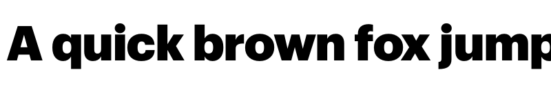 Preview of Sprint Sans Black font