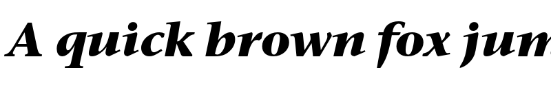 Preview of Stone Serif ITC Pro Bold Italic font