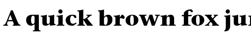 Preview of Stone Serif ITC Pro Bold font