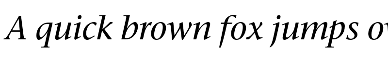 Preview of Stone Serif ITC Pro Medium Italic font