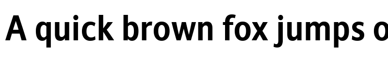 Preview of Stroudley Trial Bold font