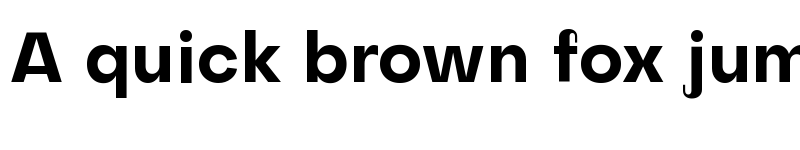 Preview of Subjectivity Bold font