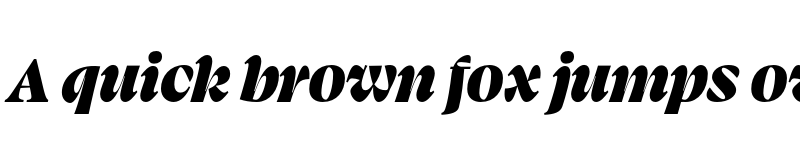 Preview of Swear Display Black Italic font