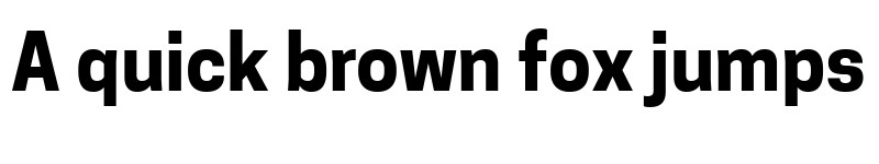 Preview of Tanohe Sans Bold font