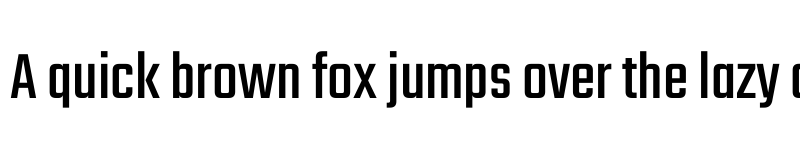 Preview of Teko Regular font