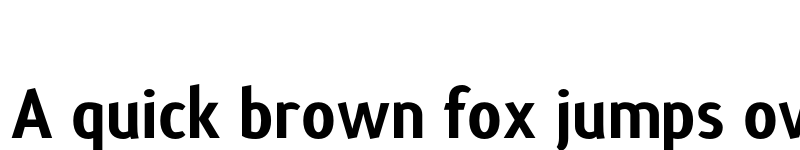 Preview of Terra Sans Black font