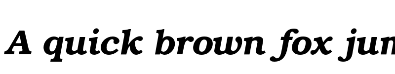 Preview of TeX Gyre Bonum Bold Italic font