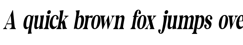 Preview of The Documentary Italic Italic font