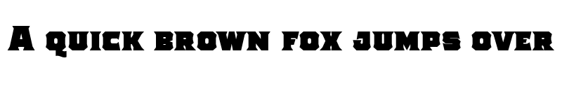 Preview of The Pretender Bold Serif font