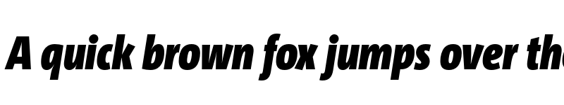 Preview of TheSans Cd Trial Black Italic font