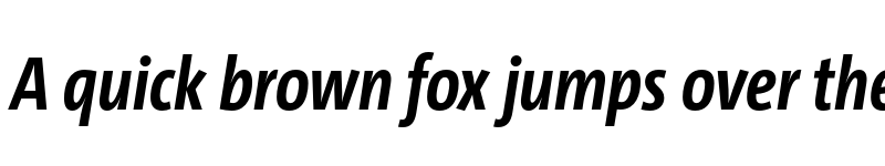 Preview of TheSans Cd Trial Bold Italic font