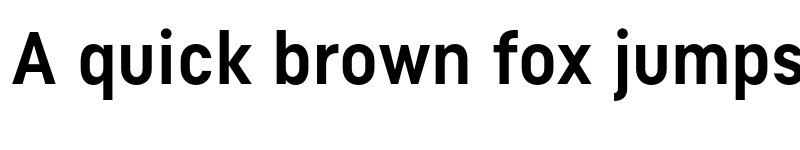 Preview of Tilson Bold Demo font