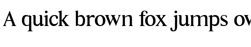 Preview of Times New Normal Regular font