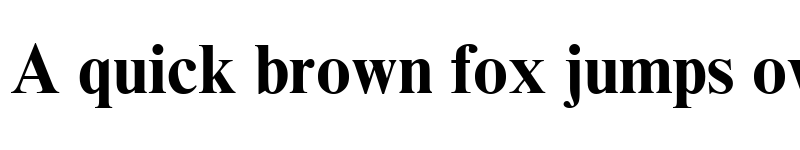 Preview of Times New Roman Cyr Bold font