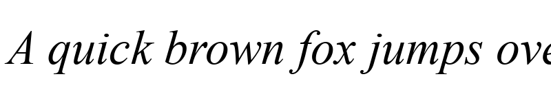 Preview of Times New Roman Italic font