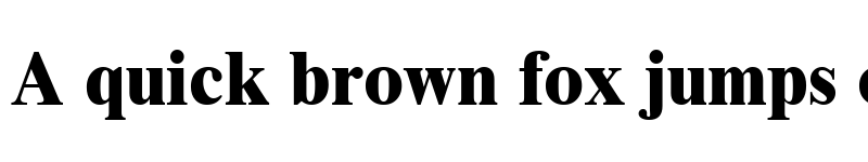 Preview of Times New Roman MT Extra Bold Regular font
