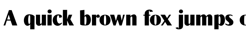 Preview of Times Sans Regular font