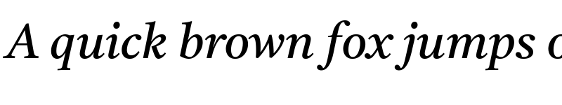 Preview of Tiro Gurmukhi Italic font