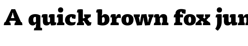 Preview of Tisa Pro Black font