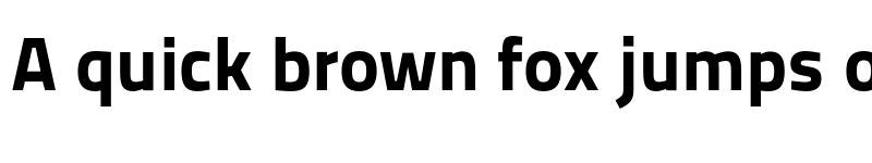 Preview of TitilliumText22L XBold font