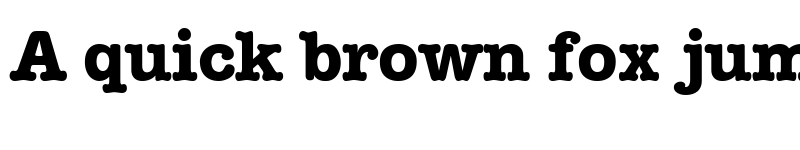 Preview of TR Memorandum Bold font