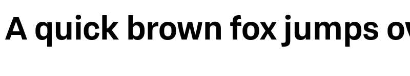 Preview of TragicGrotesk Bold-Trial font