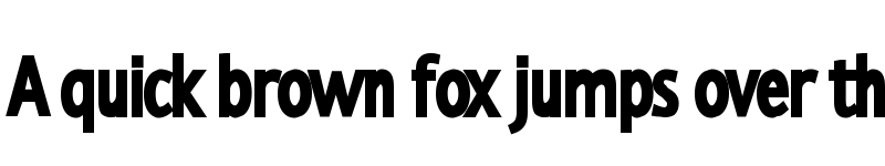 Preview of Transition Sans Black Black font