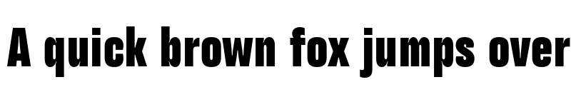 Preview of TT Backwards Sans Trial Black font