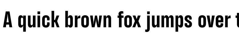 Preview of TT Backwards Sans Trial Bold font