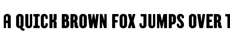 Preview of TT Berlinerins Trial Grotesk font