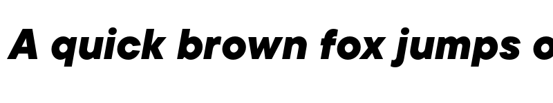 Preview of TT Commons ExtraBold Italic font