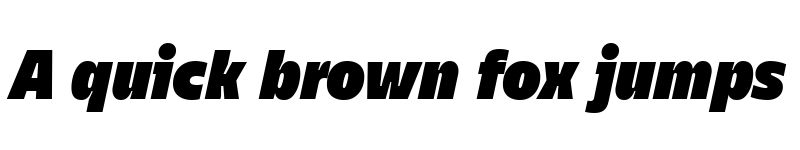 Preview of TT Fellows Trial Black Italic font