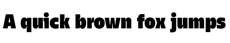 Preview of TT Fellows Trial Black font