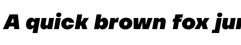 Preview of TT Firs Neue Trl Black It font