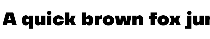 Preview of TT Firs Neue Trl Black font