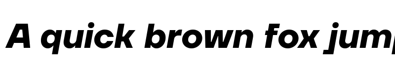 Preview of TT Firs Neue Trl Bold It font