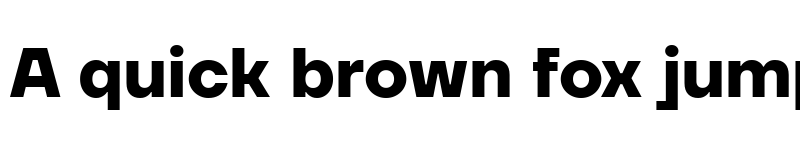 Preview of TT Firs Neue Trl Bold font
