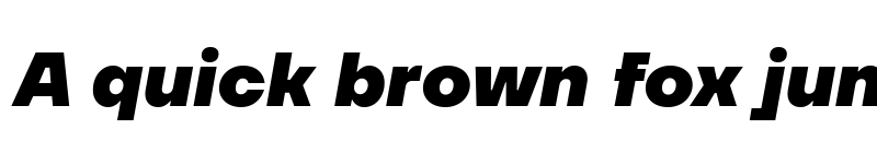 Preview of TT Firs Neue Trl ExtraBold It font