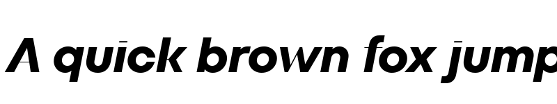 Preview of TT Fors Display Trl Bold Italic font