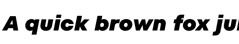 Preview of TT Fors Trial Black Italic font