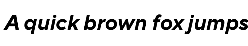 Preview of TT Norms Pro Bold Italic font