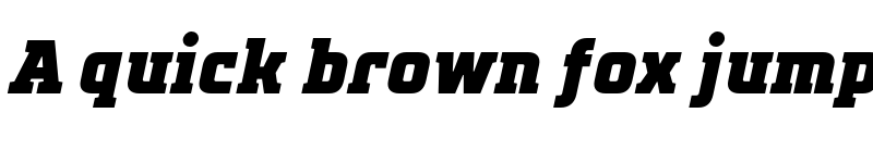 Preview of TT Polls Trial Black Italic font